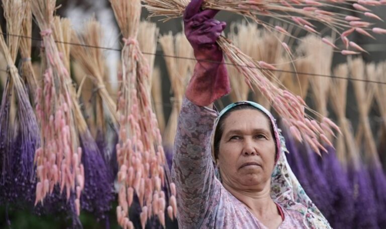 Köyün geçim kaynağı! Doğadan toplayıp yurtdışına gönderiyorlar… – Son Dakika Yaşam Haberleri