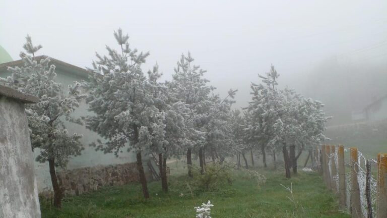 Tokat’ın yüksek kesimlerde kar yağışı etkili oldu