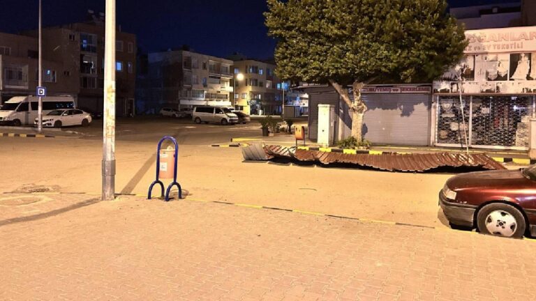 Şiddetli fırtına ağaçları kökünden söktü, çatıları uçurdu