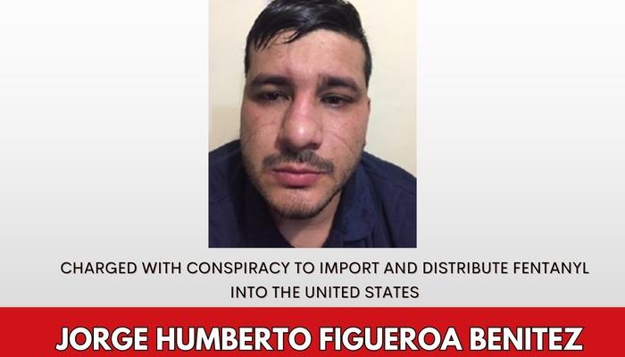 1 milyon ödülle aranan kartel üyesi öldürüldü