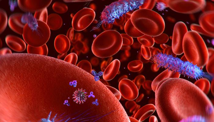 Her 5 ölümden 1’inin sebebi: Sepsis! Kan zehirlenmesi nedir?