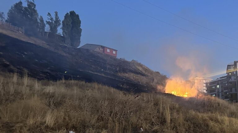 Erzurum’da havai fişekler otluk alanda yangına neden oldu